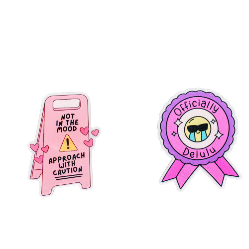 certified delulu PINS