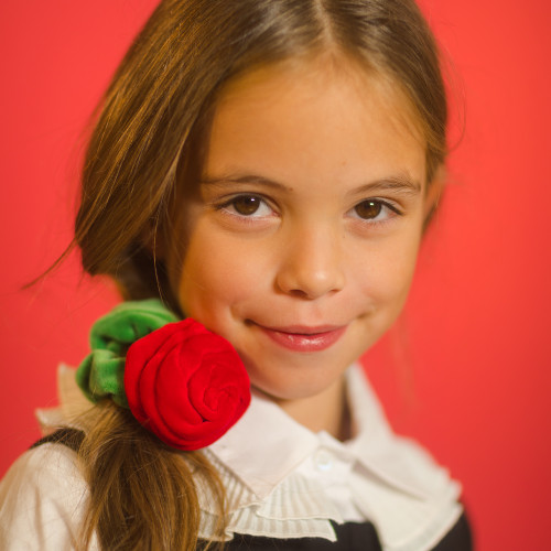 Velvet Rose