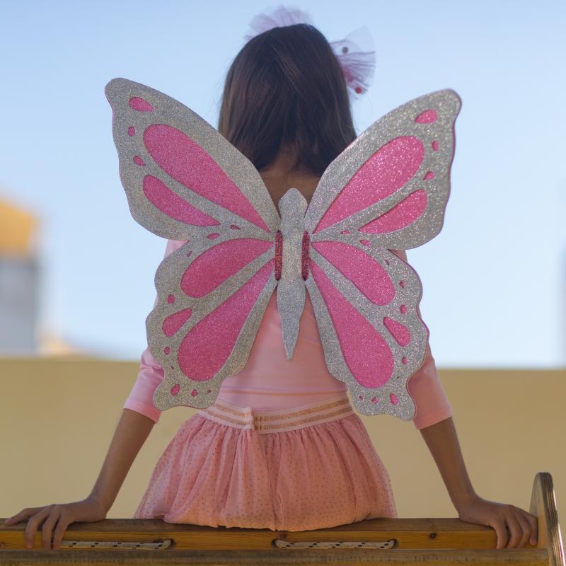 Butterfly Wings